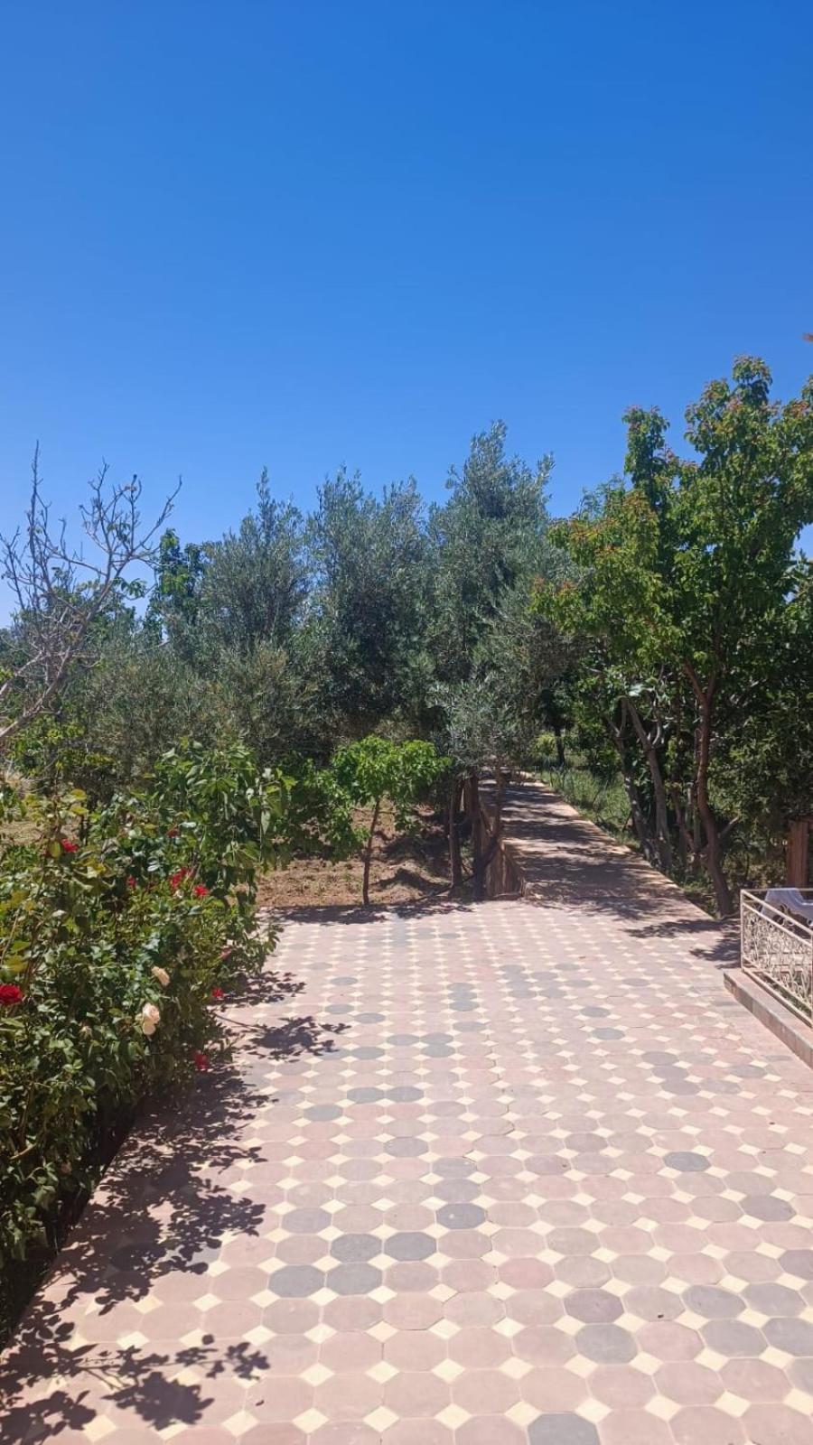 Chez L'Habitant Amazigh Warzazát Exteriér fotografie